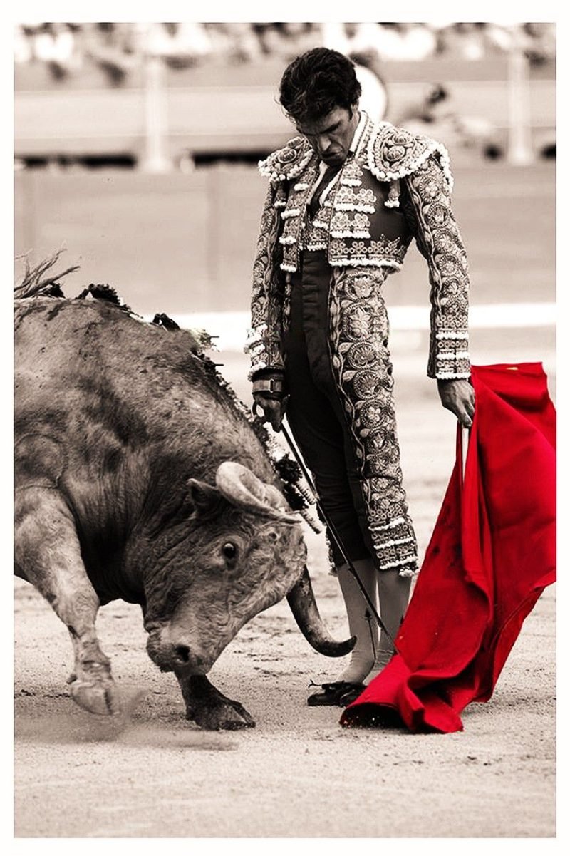 matadores-de-toros-2026-tauromaquias