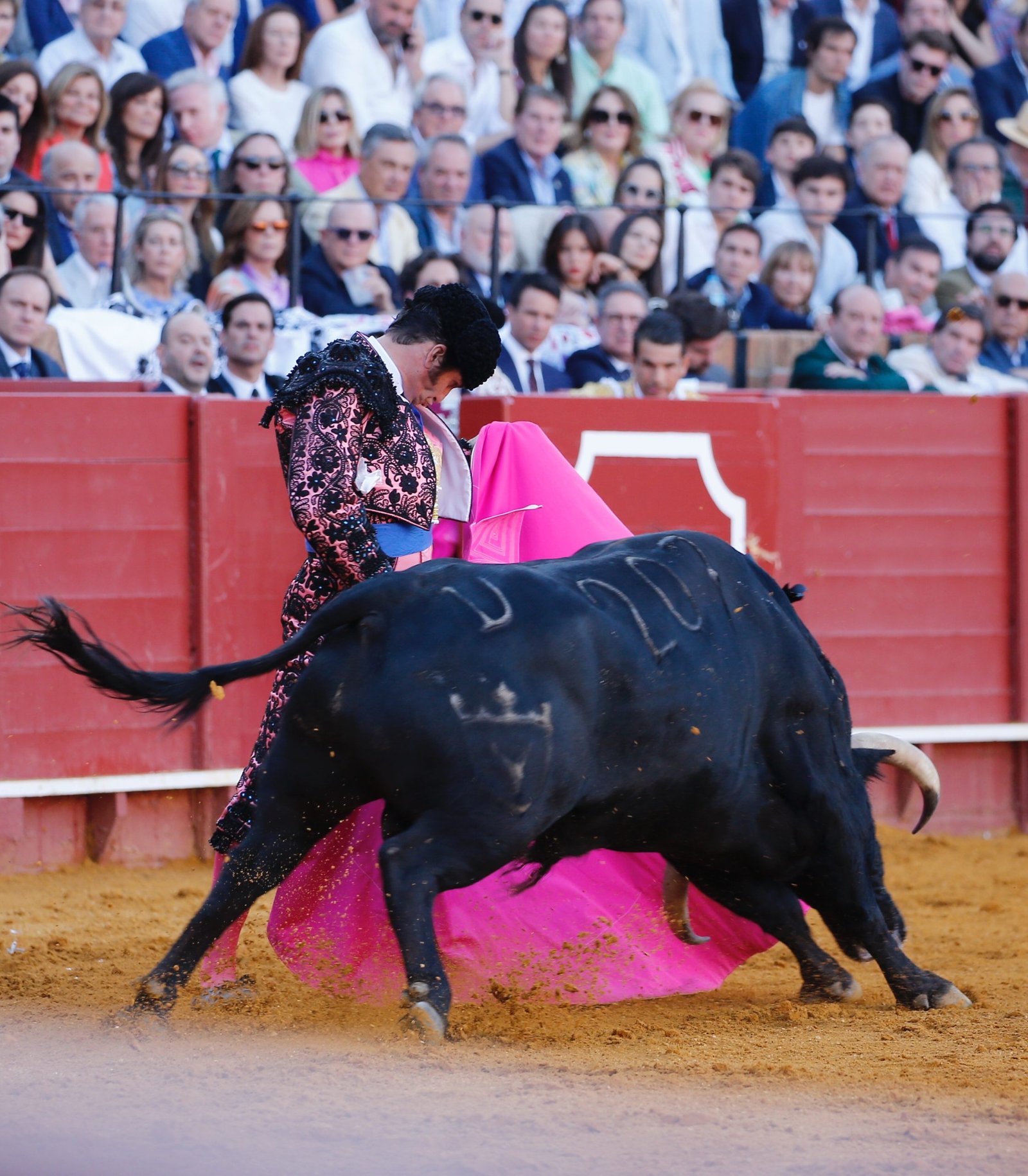 MORANTE DE LA PUEBLA