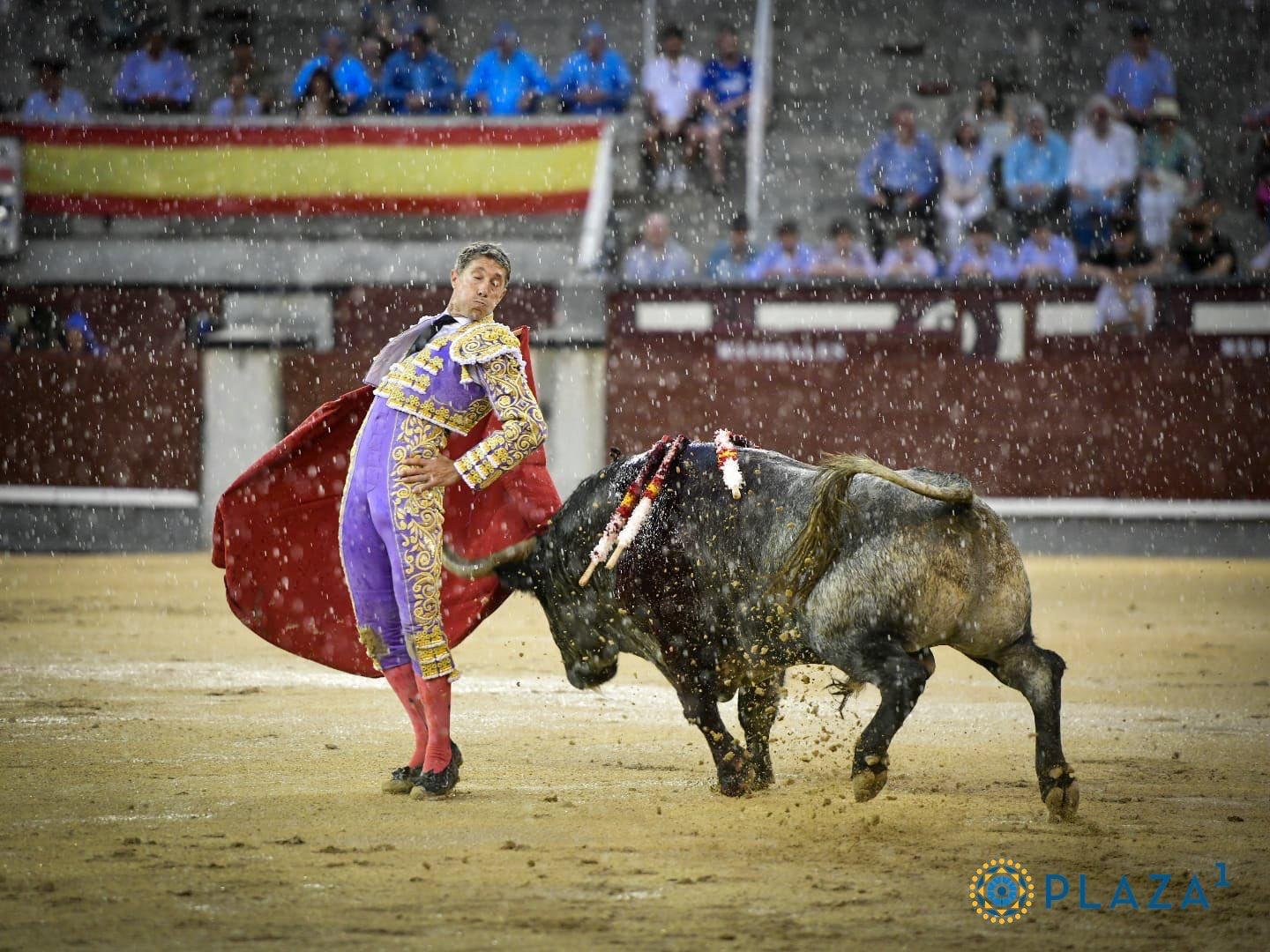 MANUEL ESCRIBANO