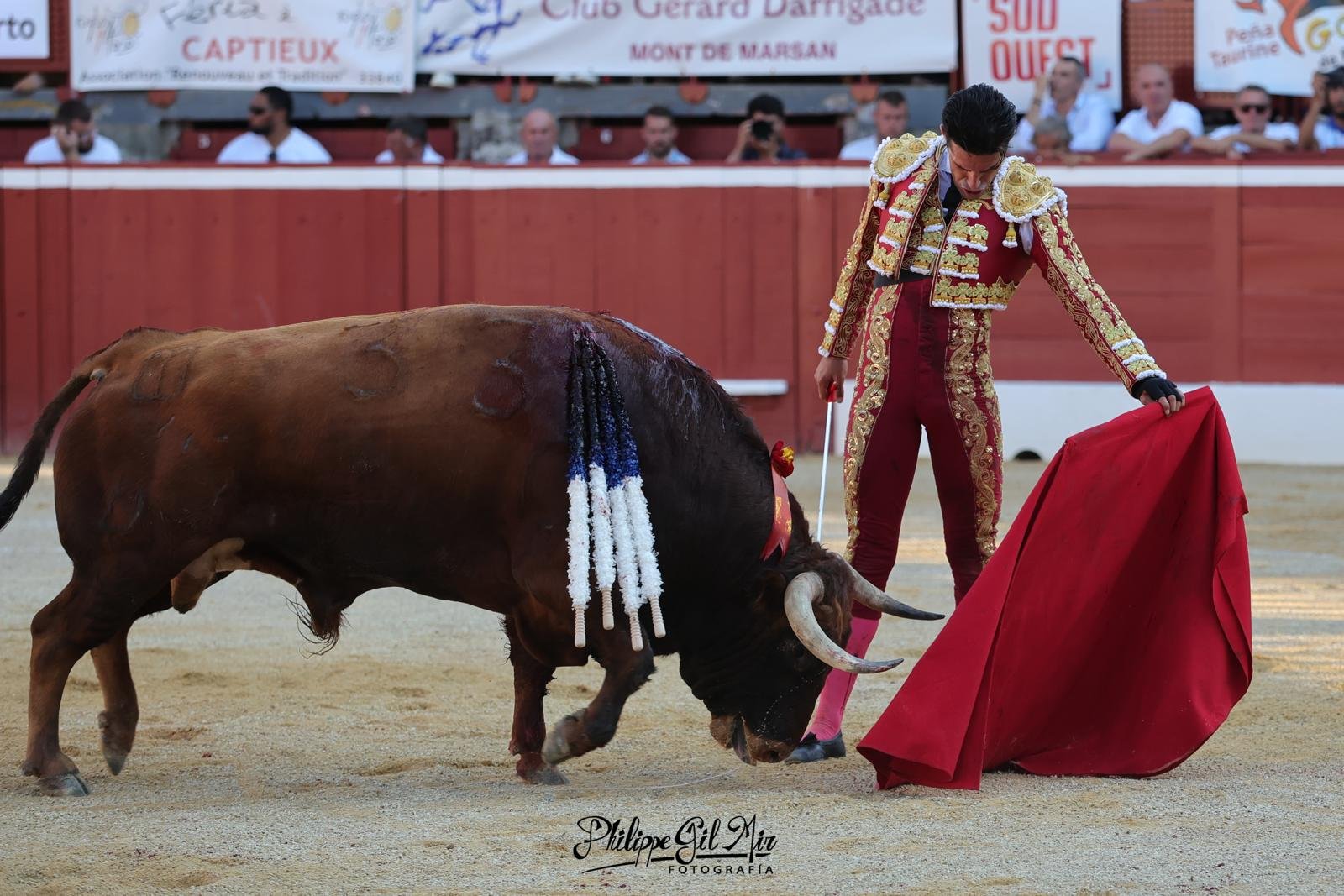 ALEJANDRO TALAVANTE