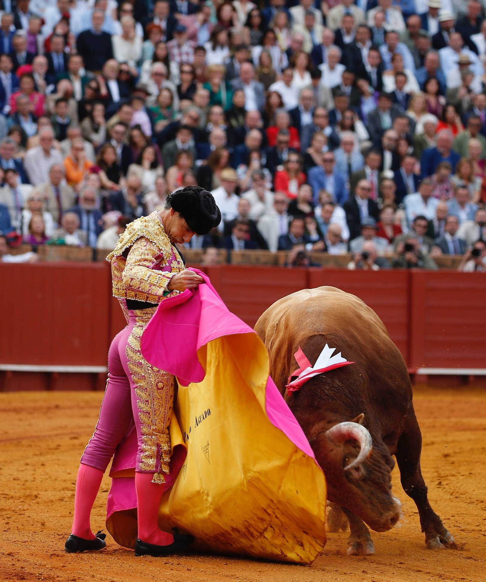 PABLO AGUADO
